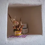 Apartment Samanic